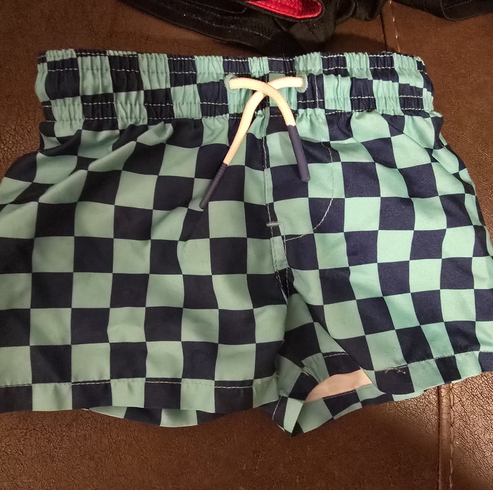 Cat & Jack Blue and Green Checkered Kids Swim Trunks